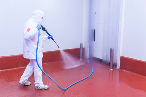 Best Heavy Equipment Washing  in Bangor, ME